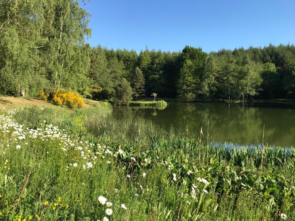 Morvan La Pastourelle Quarré-les-Tombes エクステリア 写真