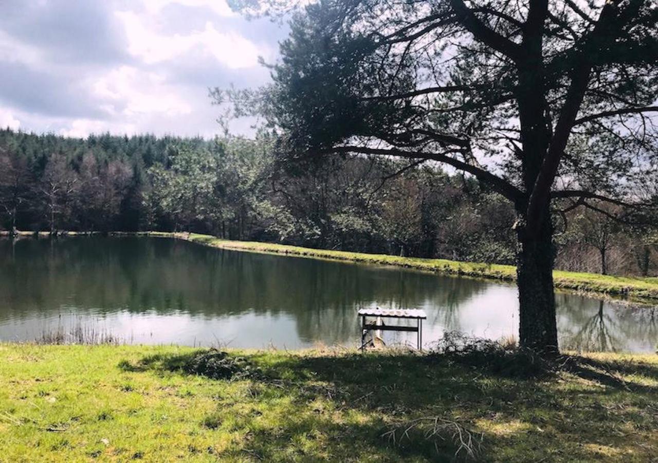 Morvan La Pastourelle Quarré-les-Tombes エクステリア 写真