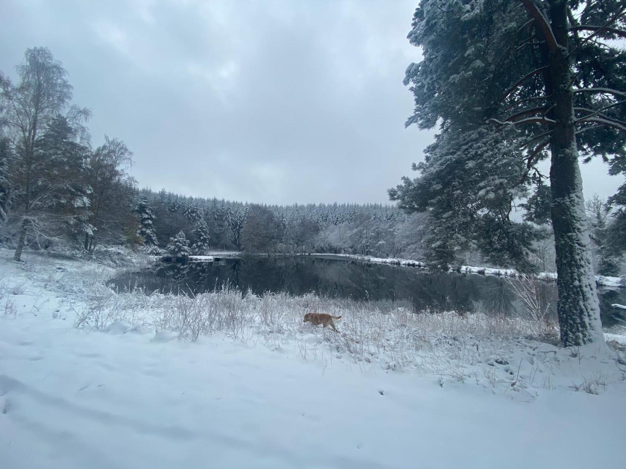 Morvan La Pastourelle Quarré-les-Tombes エクステリア 写真