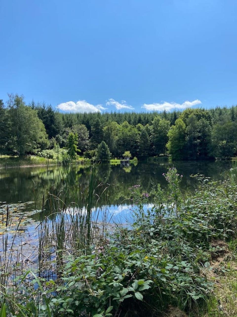 Morvan La Pastourelle Quarré-les-Tombes エクステリア 写真